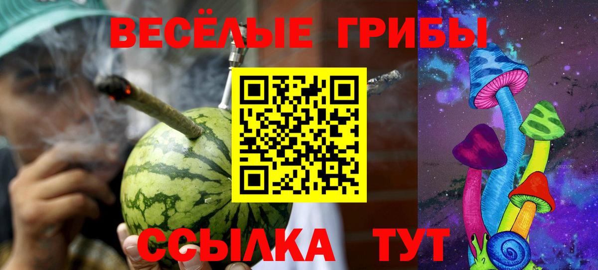 Псилоцибиновые грибы Psilocybe  Вход с VPN  Галлюциногенные грибы мухоморы  наркошоп  Чехов 